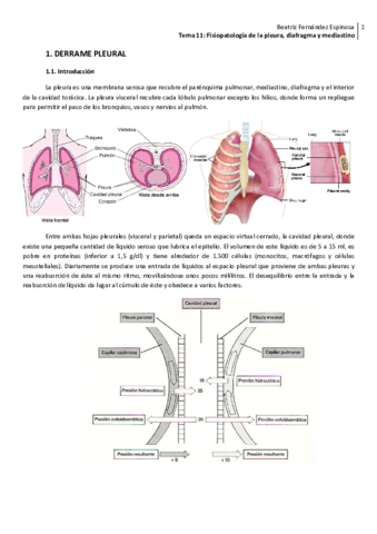 Tema 11_Fisiopat. pleura diafragma mediastino.pdf