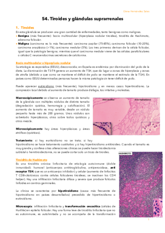 54. Tiroides y suprarrenales.pdf