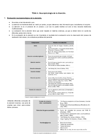 TEMA 4..pdf