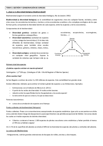 TEMA 5 GERENA redactado.pdf