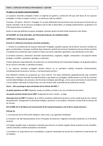 TEMA 4 GERENA redactado.pdf