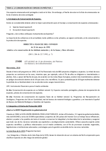 TEMA 6 GERENA redactado.pdf