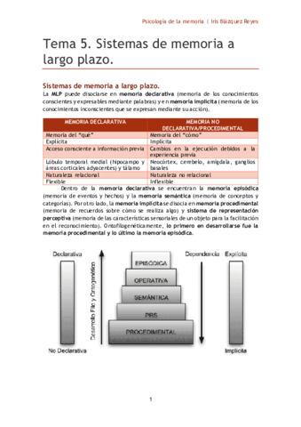 TEMA 5. SISTEMAS DE MEMORIA A LARGO PLAZO.pdf