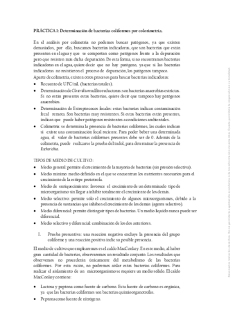 prácticas M.industrial.pdf