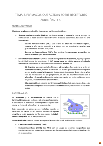 TEMA 8..pdf