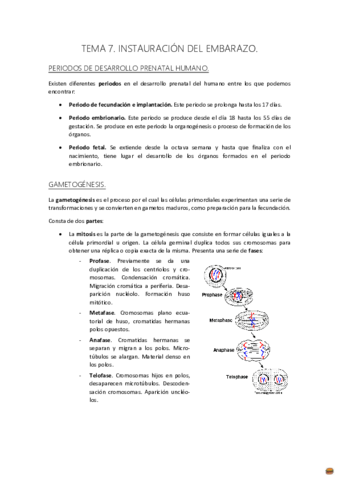 TEMA 7 MATERNO..pdf