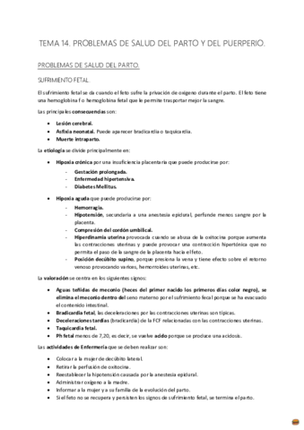 TEMA 14 MATERNO..pdf