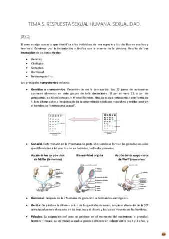 TEMA 5 MATERNO..pdf