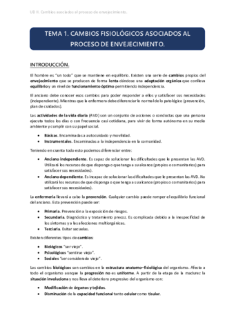 UD2 TEMA 1.pdf