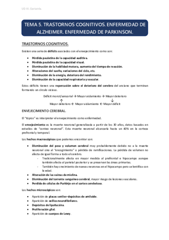 UD3 TEMA 5.pdf