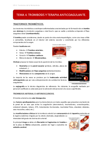 UD4 TEMA 4.pdf