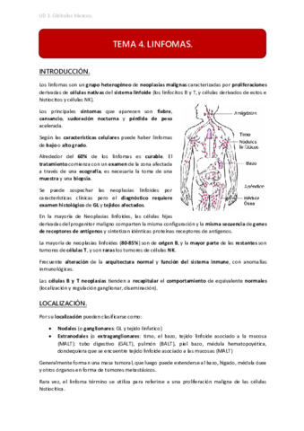 UD3 TEMA 4.pdf