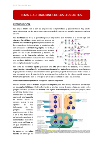 UD3 TEMA 2.pdf