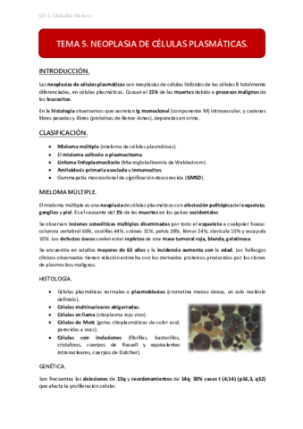 UD3 TEMA 5.pdf