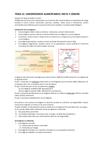 TEMA 12.pdf