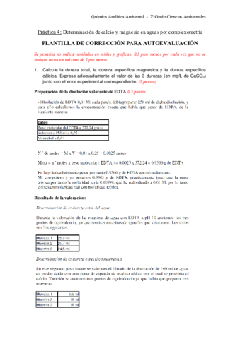 Plantilla_correccion_p4 (1).pdf