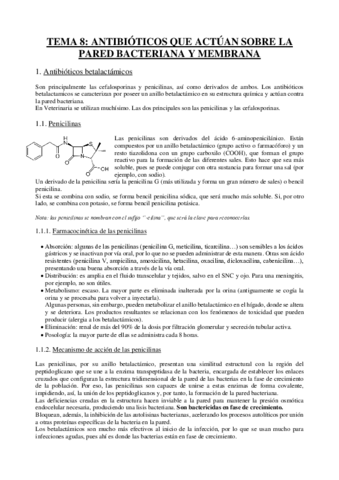 Tema 8 - Antibióticos pared.pdf