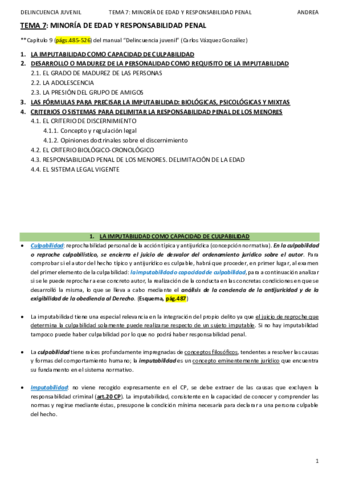 DELINCUENCIA JUVENIL_TEMA 7_ANDREA.pdf