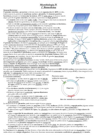 Tema 3 Microbiología.pdf