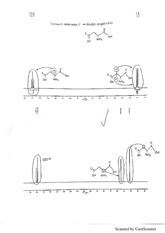 Ejercicios resueltos.pdf