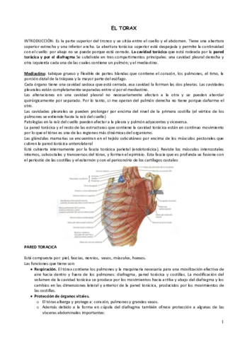 2.Tórax.pdf