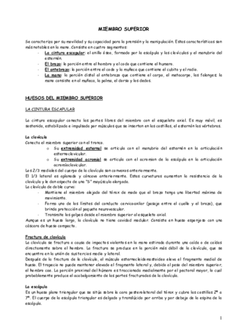 5. Miembro superior.pdf