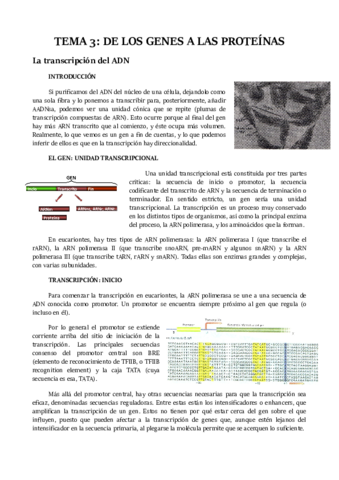 TEMA 3.pdf