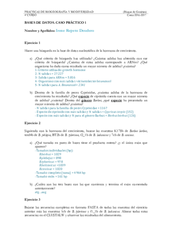 Irene Repeto - Caso practico bases de datos.pdf