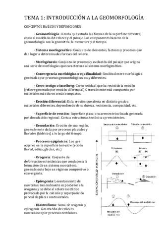 RESUMEN.pdf