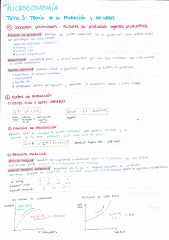 Microeconomia T3.pdf