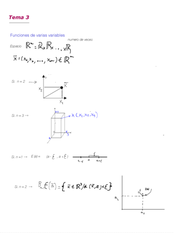 Tema 3 .pdf