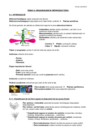 Apunts botànica farmacèutica (Tema 9).pdf