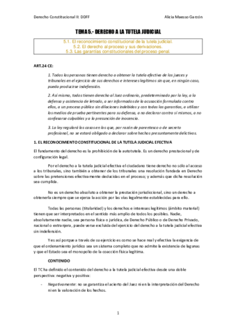 TEMA 5. DERECHO A LA TUTELA JUDICIAL EFECTIVA. Héctor..pdf