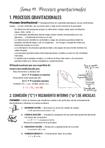 Tema 11. Procesos gravitacionales.pdf