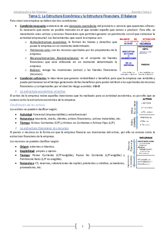 IF-Tema 1-Activo y Recursos. El Balance.pdf
