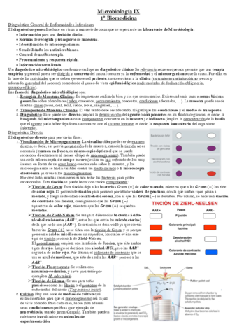 Tema 7 Microbiología.pdf