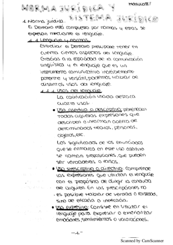 Norma juridica.pdf