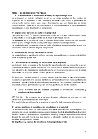 TEMARIO COMPLETO CIVIL III.pdf