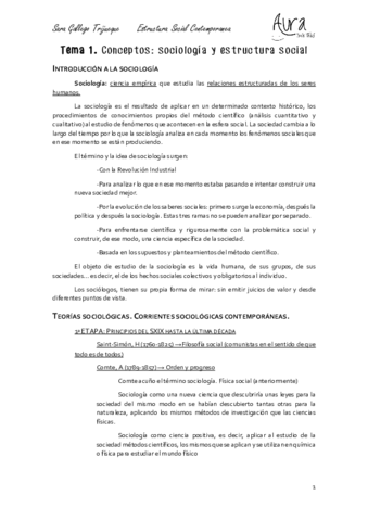 ESTRUCTURA SOCIAL T1.pdf