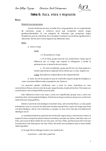 ESTRUCTURA SOCIAL T6.pdf