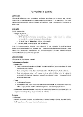 09. Parvovirosis canina.pdf