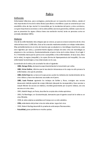 08. Rabia.pdf