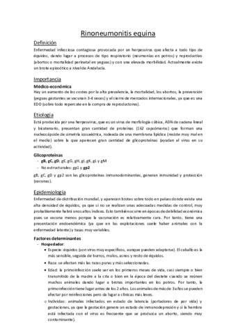 04. Rinoneumonitis equinas.pdf