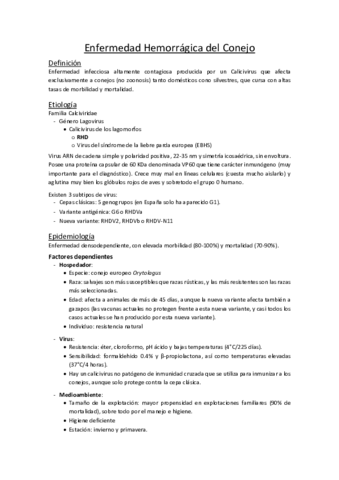 25. Enfermedad Hemorrágica del Conejo.pdf