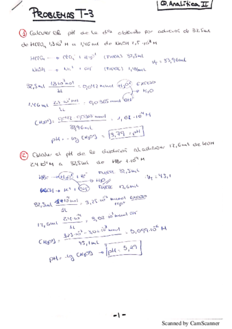 PROBLEMAS T3 ~ Q.ANALITICA II.pdf