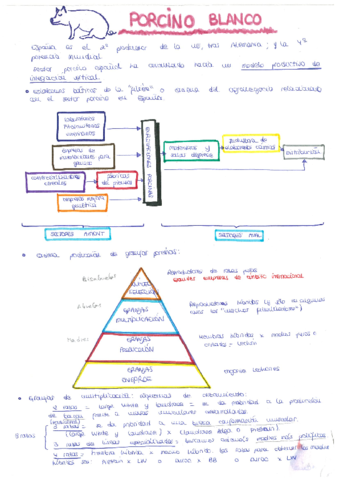 Resumen parcial cerdos.pdf