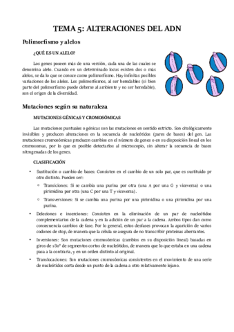 TEMA 5.pdf