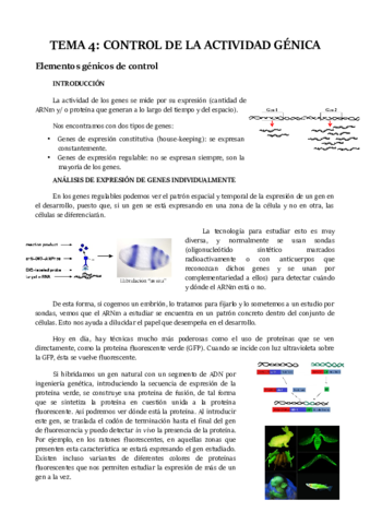 TEMA 4.pdf