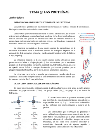 TEMA 3 ESPAÑOL.pdf
