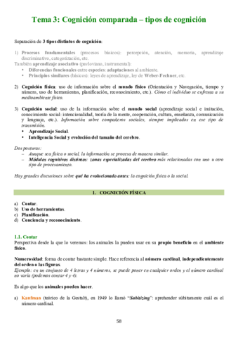 TEMA 3.pdf